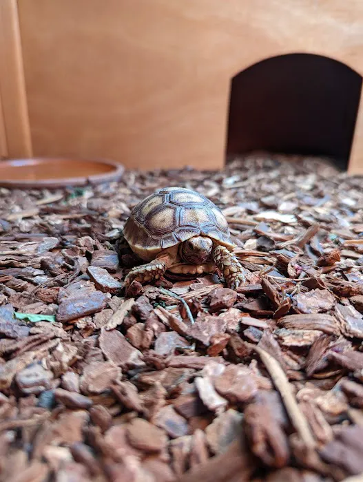 Kendog's Reptile Shop Picture 4