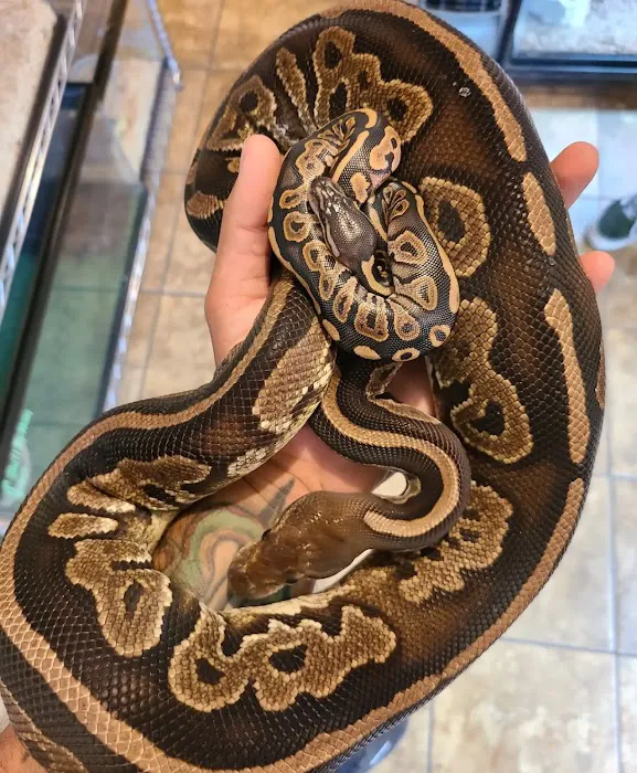Kendog's Reptile Shop Picture 6