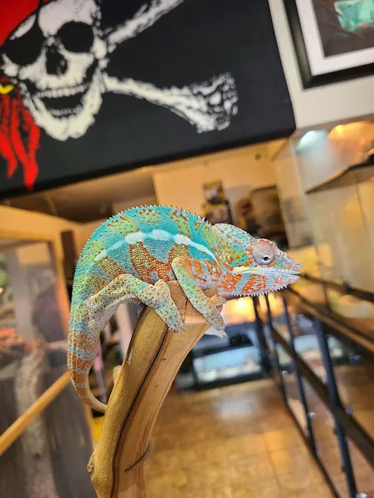 Kendog's Reptile Shop Picture 9