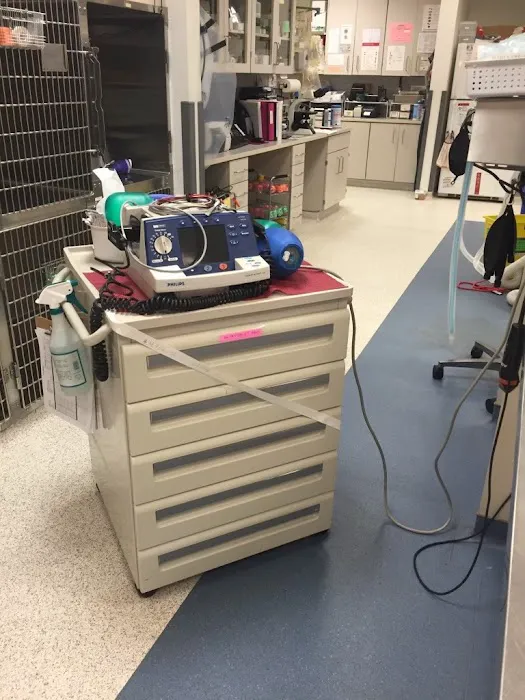 VCA Animal Emergency Critical Care Picture 1