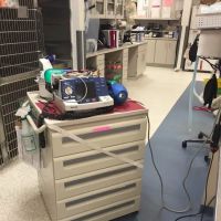 VCA Animal Emergency Critical Care ico