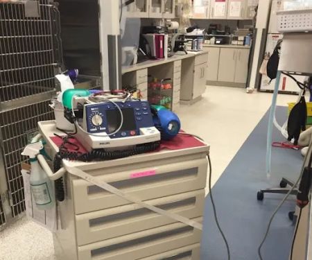 VCA Animal Emergency Critical Care