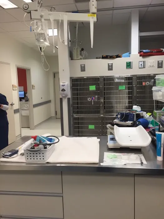 VCA Animal Emergency Critical Care Picture 9