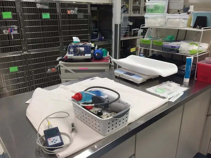 VCA Animal Emergency Critical Care Picture 8