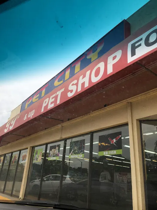 Pet City Picture 1
