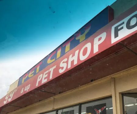 Pet City