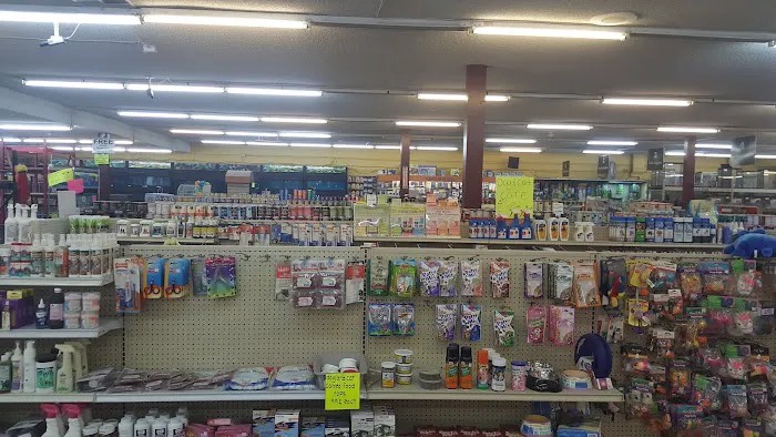 Pet City Picture 5