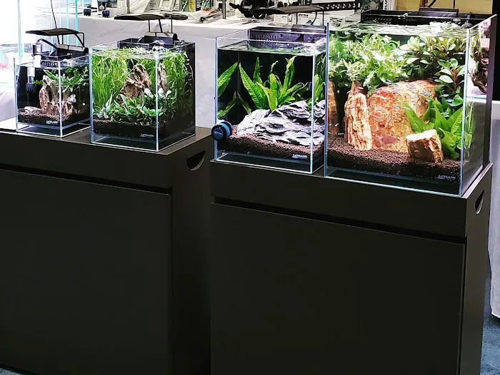 Lifegard Aquatics Picture 1