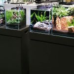 Lifegard Aquatics
