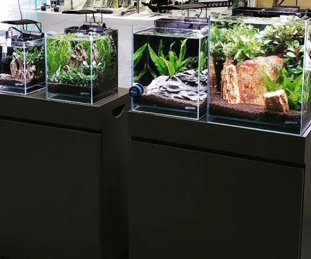 Lifegard Aquatics