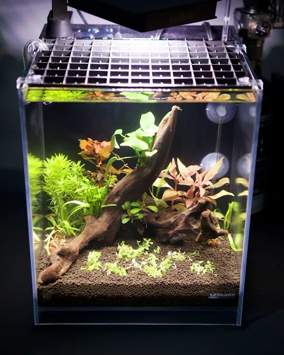Lifegard Aquatics Picture 3