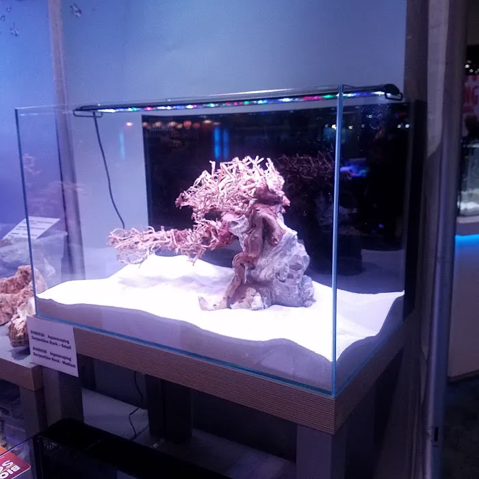 Lifegard Aquatics Picture 6