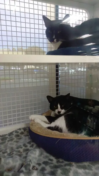 Petco Picture 1