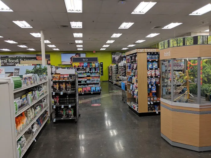 Petco Picture 8