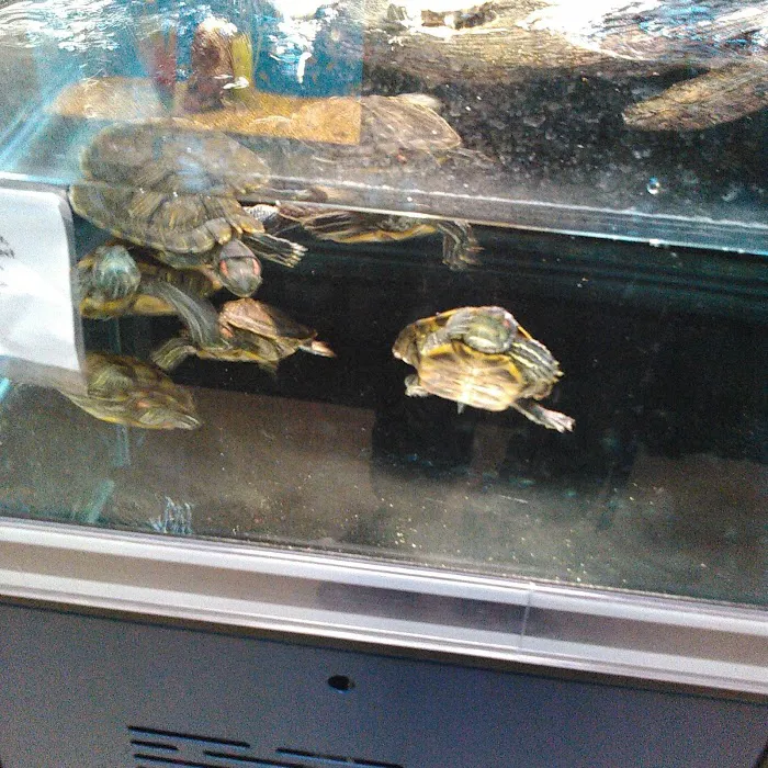 Petco Picture 10