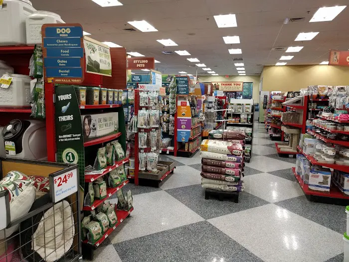 Petco Picture 5