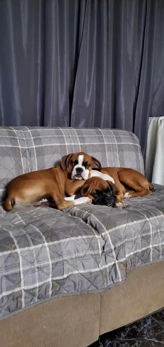 Petco Picture 6