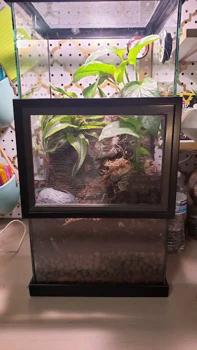 La Habra Exotic Pets Picture 2