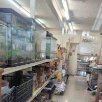 La Habra Exotic Pets ico