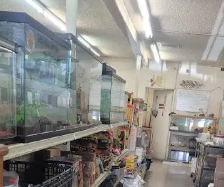 La Habra Exotic Pets