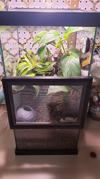 La Habra Exotic Pets Picture 3