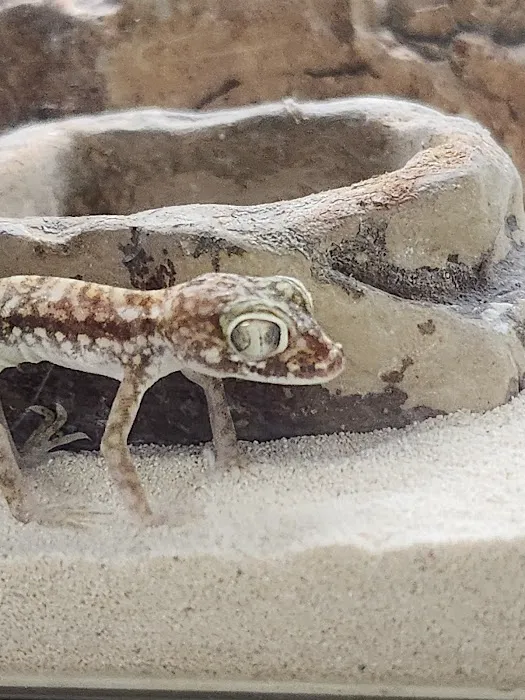 La Habra Exotic Pets Picture 9