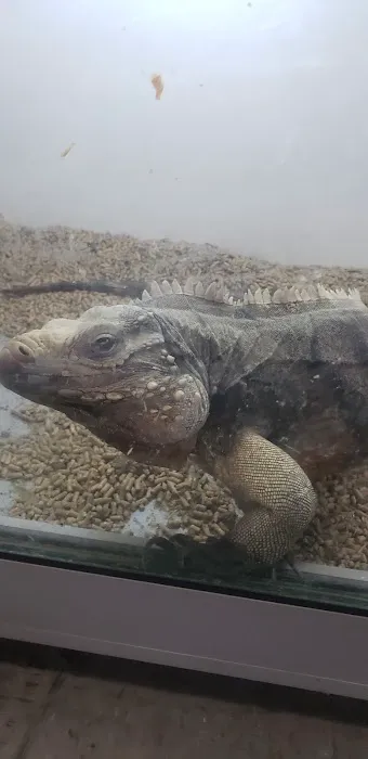 La Habra Exotic Pets Picture 10