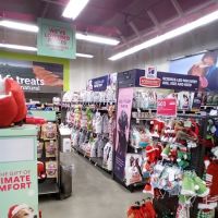 Petco ico