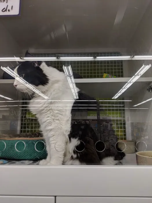 Petco Picture 10