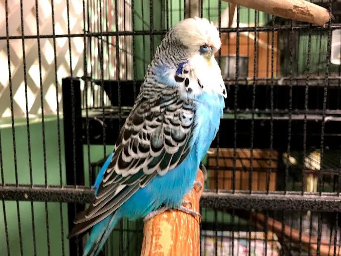 Chavez Pets Supplies Picture 8