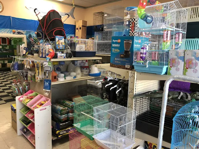 Chavez Pets Supplies Picture 1