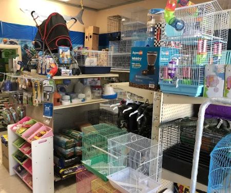 Chavez Pets Supplies