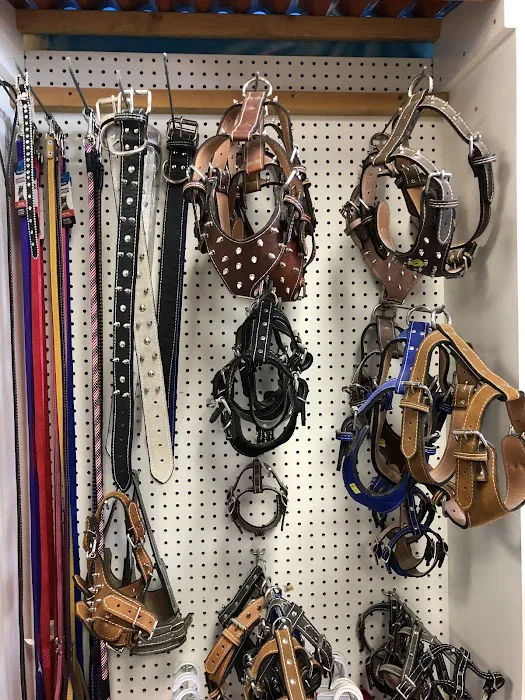 Chavez Pets Supplies Picture 2