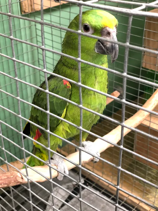 Chavez Pets Supplies Picture 10