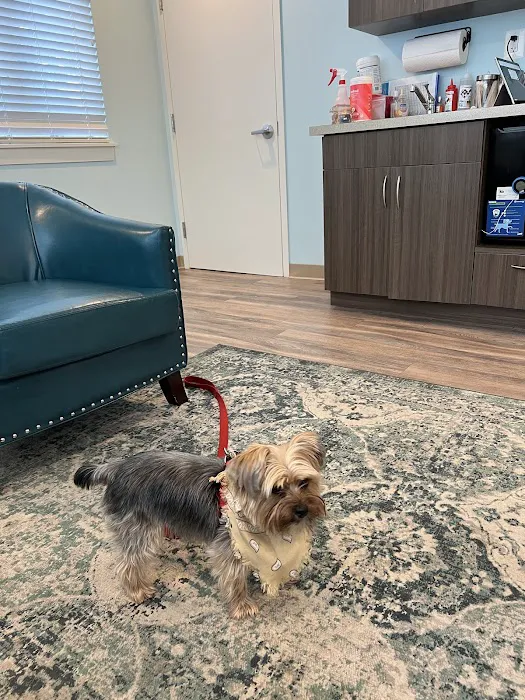 Harmony Animal Hospital Picture 2
