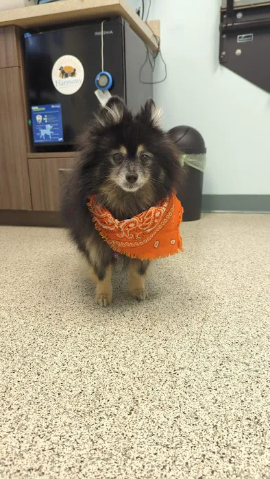 Harmony Animal Hospital Picture 8