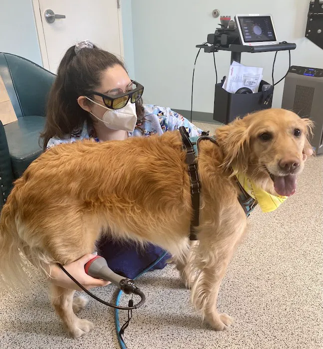 Harmony Animal Hospital Picture 5