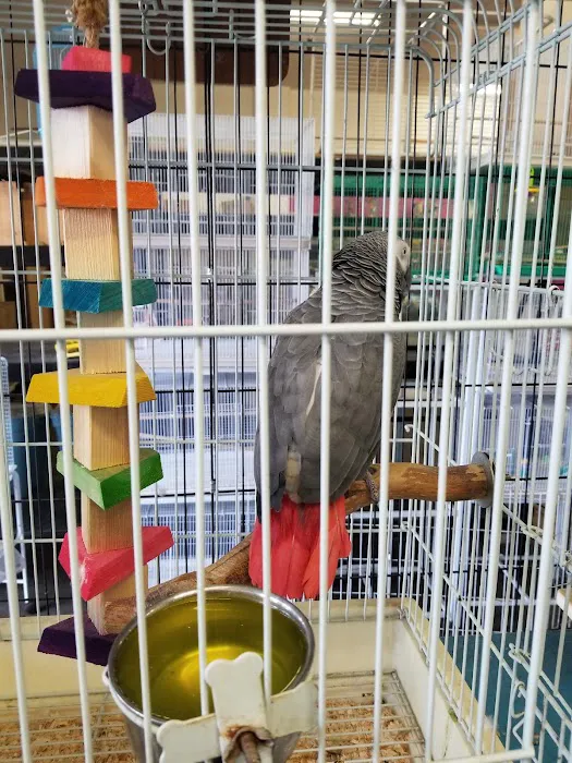 Mike's Pet Store and pet grooming Picture 5