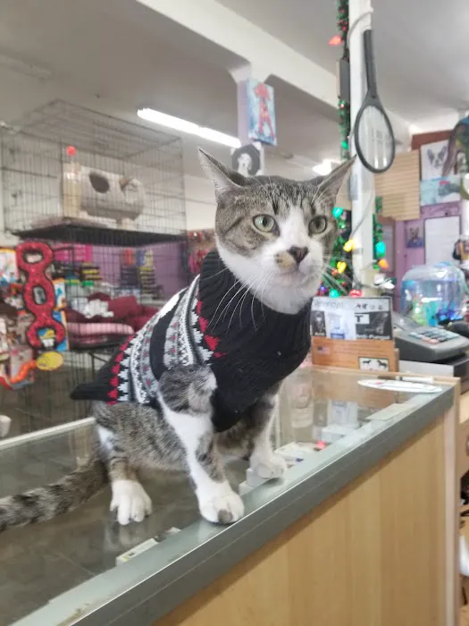 Mike's Pet Store and pet grooming Picture 4