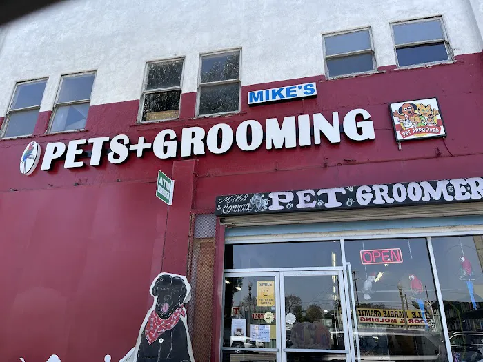 Mike's Pet Store and pet grooming Picture 7