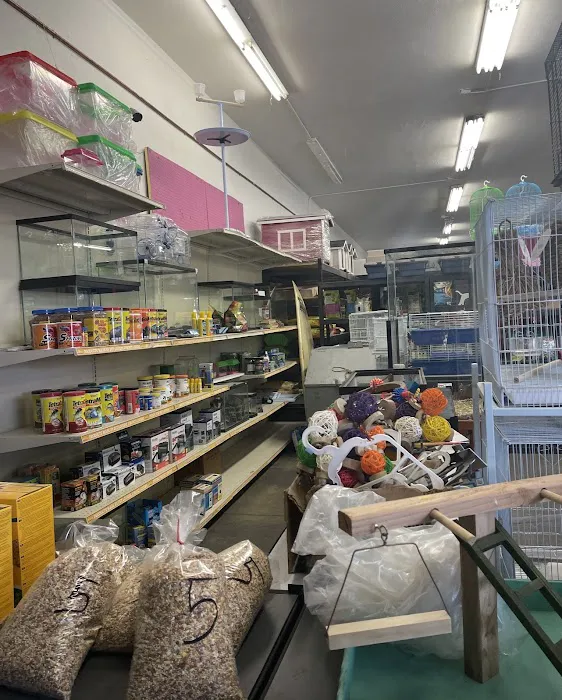 Mike's Pet Store and pet grooming Picture 8