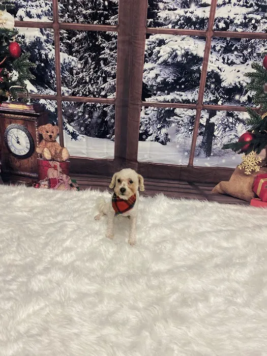 Mike's Pet Store and pet grooming Picture 10