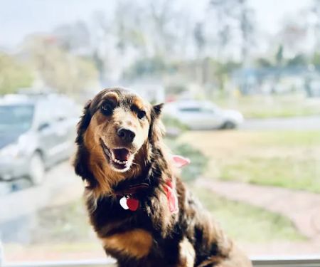 Hayfield Animal Hospital