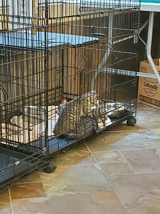Hayfield Animal Hospital Picture 6