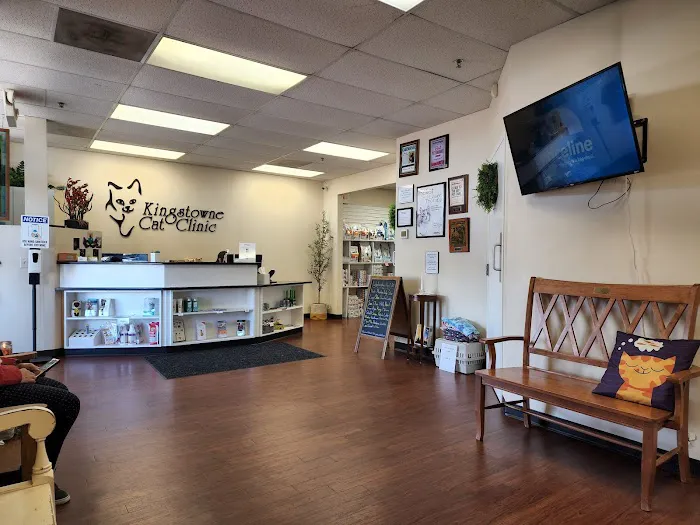 Kingstowne Cat Clinic Picture 2