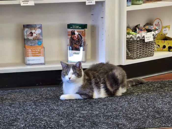 Kingstowne Cat Clinic Picture 3