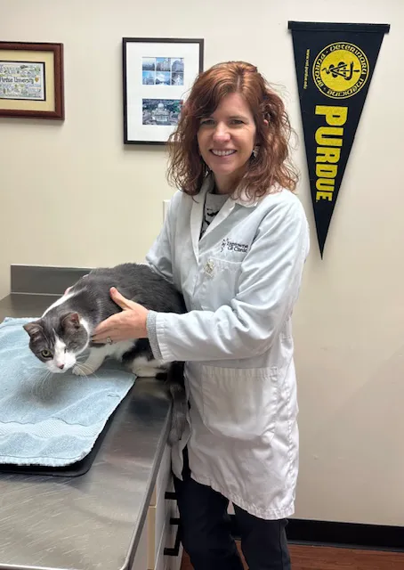 Kingstowne Cat Clinic Picture 10