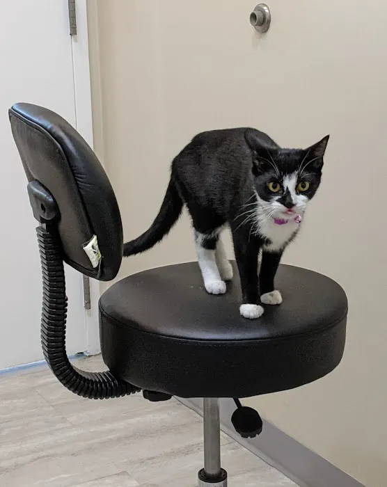 Kingsview Animal Hospital Picture 8