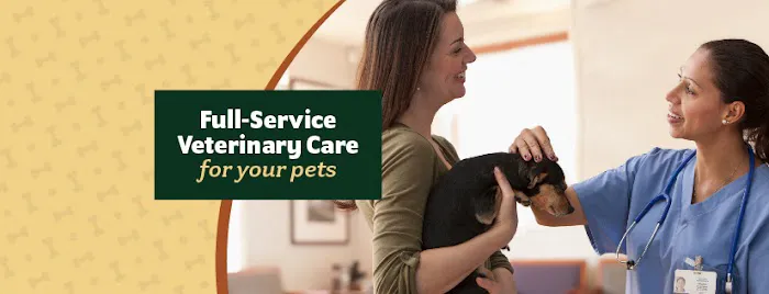 Hometown Veterinary Clinic Picture 6