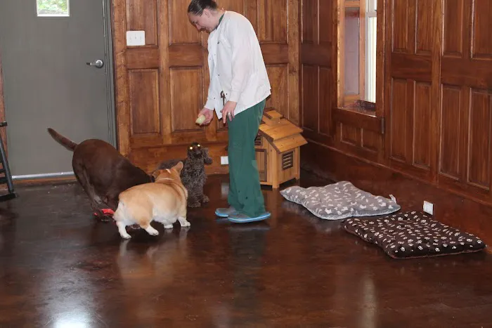 Hometown Veterinary Clinic Picture 9